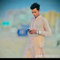 M Hamza M Hamza