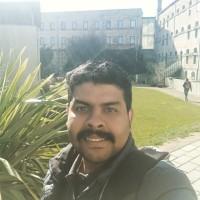 Vipin Gopal V