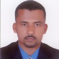 Waleed Hassan