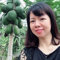Lanh Bui