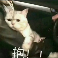 高三宝