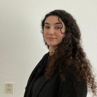 Hediye Erisen