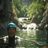 Pedro Vila Nova