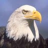 Eagle Claw