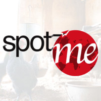 Spot Middle