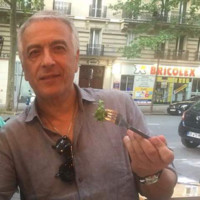 Daniel Levy