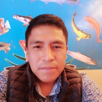 Jorge Luis Valle Huamancari