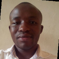 Bamidele Pedro