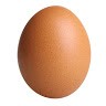 Egg Egg