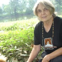 Darlene Fife
