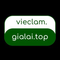 Việc Làm Gia Lai