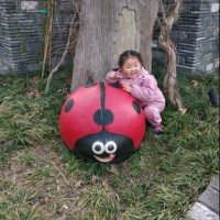马登云