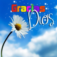 Lis V