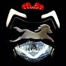 Praveen V D Tiwari