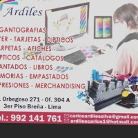 Carlos Gerardo Ardiles Silva