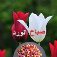 حسن الغامدي