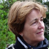 Marja Van Graft
