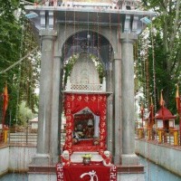 Tej Krishen Saraf