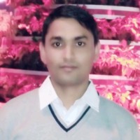 Bhamar Pal
