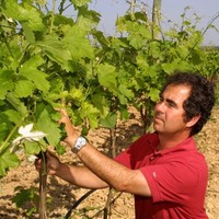 Carlos Feliu
