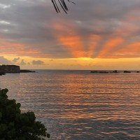 Francisco Jose Tirado