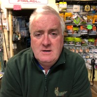 Noel Kavanagh