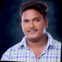 Saran Raj N