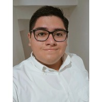 Emmanuel Alberto Flores Lizarraga