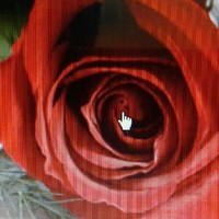 Seyed Hoseini