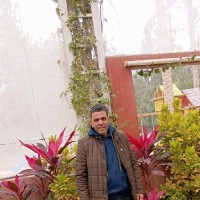 Ahmed Shabban