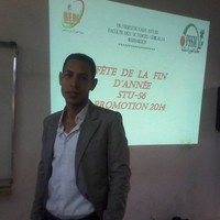 Imad EL-AMRANI