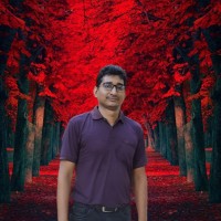 MD. MAHMUDUL HASAN