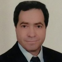 florin busnatu