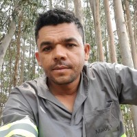 José Elton José Elton