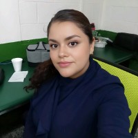Seo Empresarial Claudia Toledo