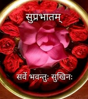 Vinay Kr
