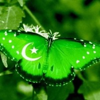 Adeel Haider