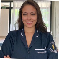 Evelyn dos Santos Camargo de Brito