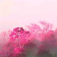 高雪梅