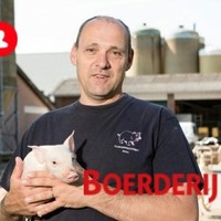 johnny bull