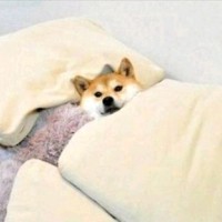 이병훈
