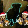 Cat Sim