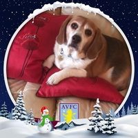 Margaret Bell