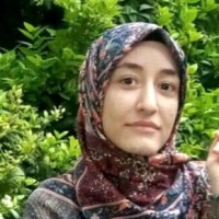 Monir Sadat Alamalhoda