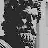 V D