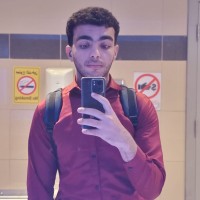 Ahmed Elbasiouni