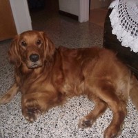 Leidy Gomez