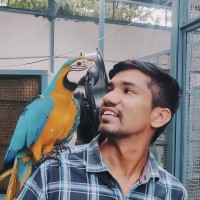Dr Kapil Kaim