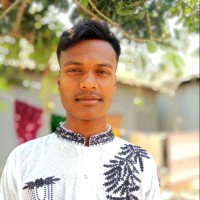 Md Sabbir Hossain