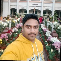 Biplab Musib